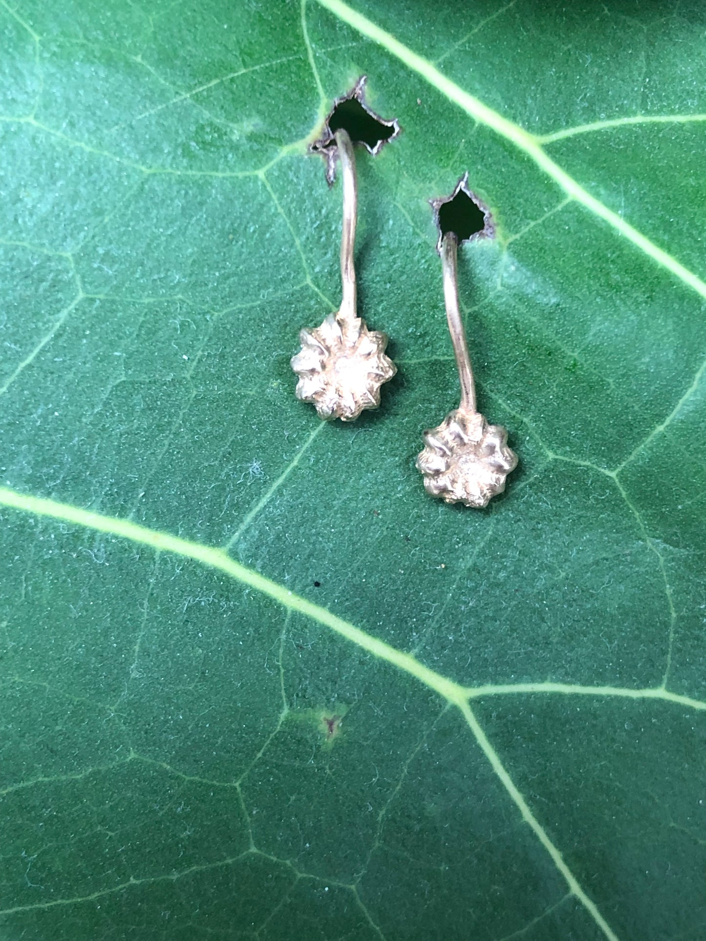 Orecchini amo Phytolacca