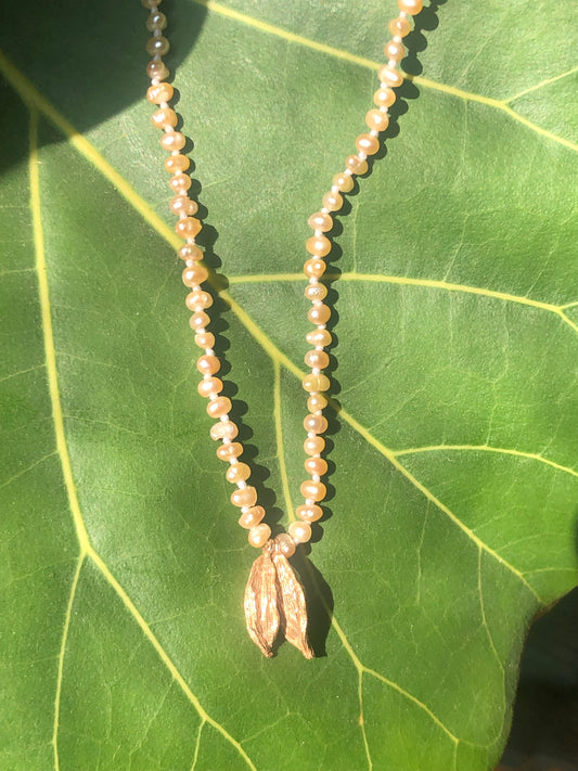 Collana cardamomo