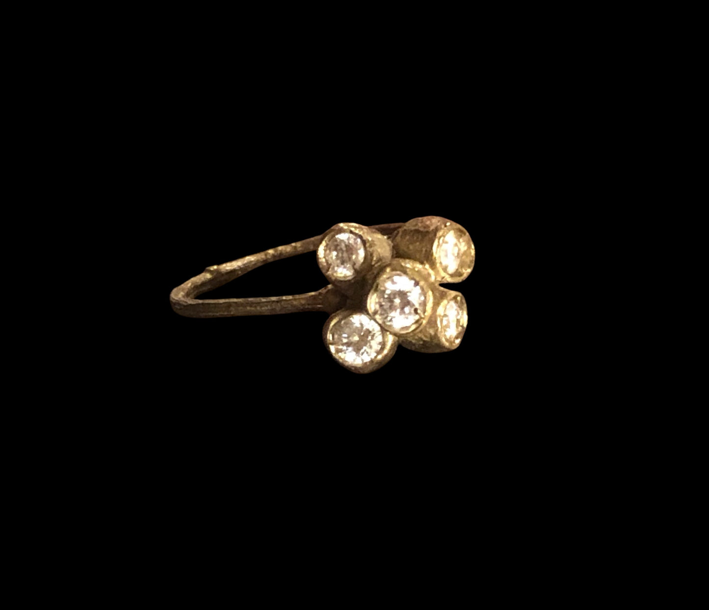 Anello Callistemone ramo