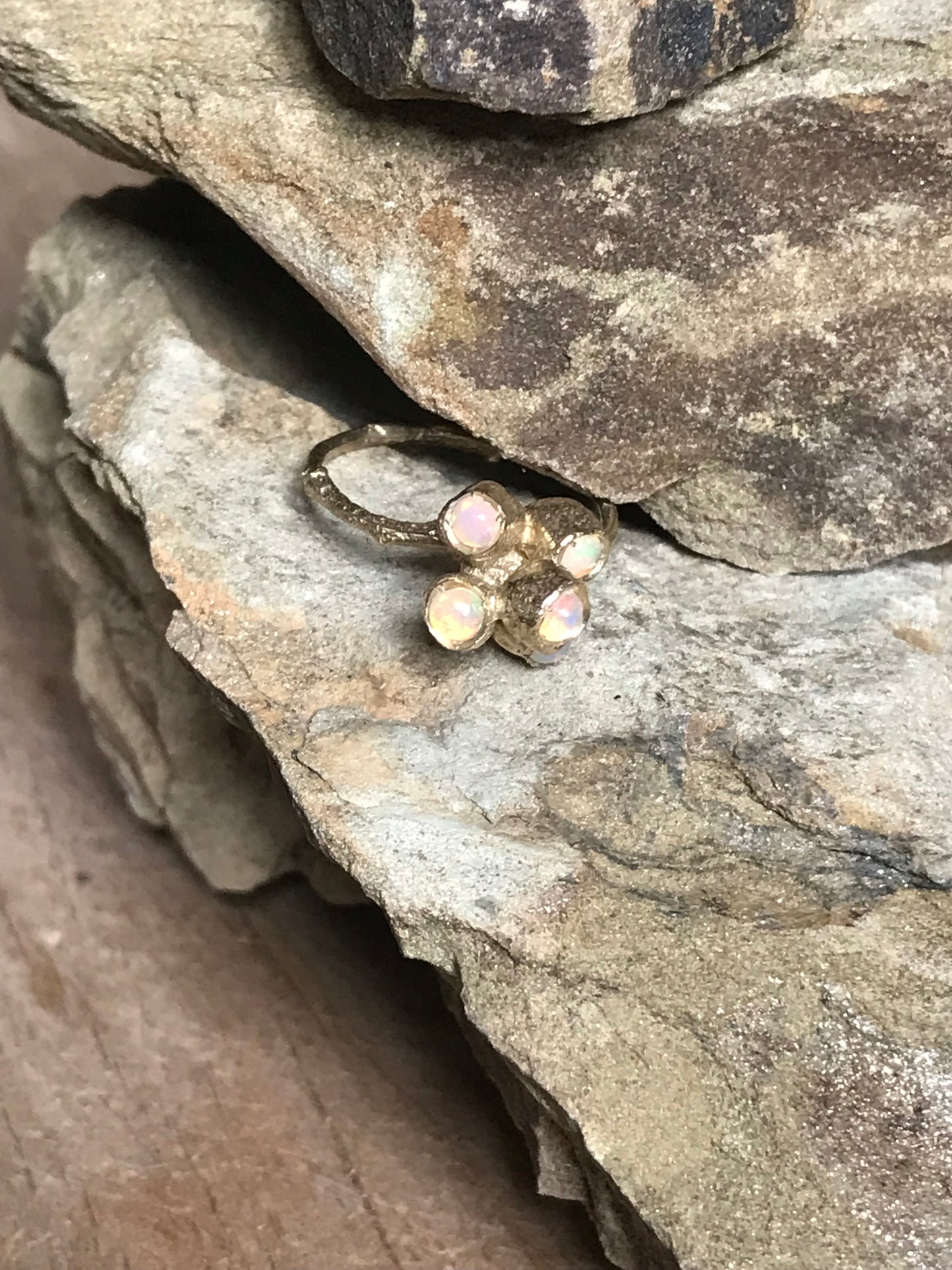 Anello Callistemone ramo