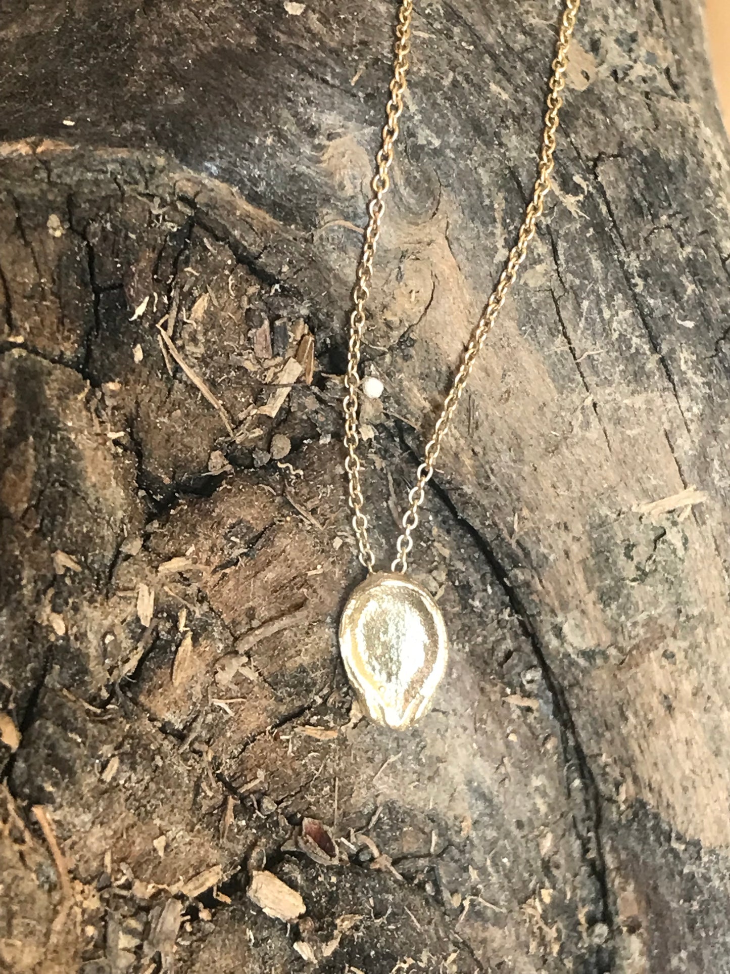Collana seme Anguria