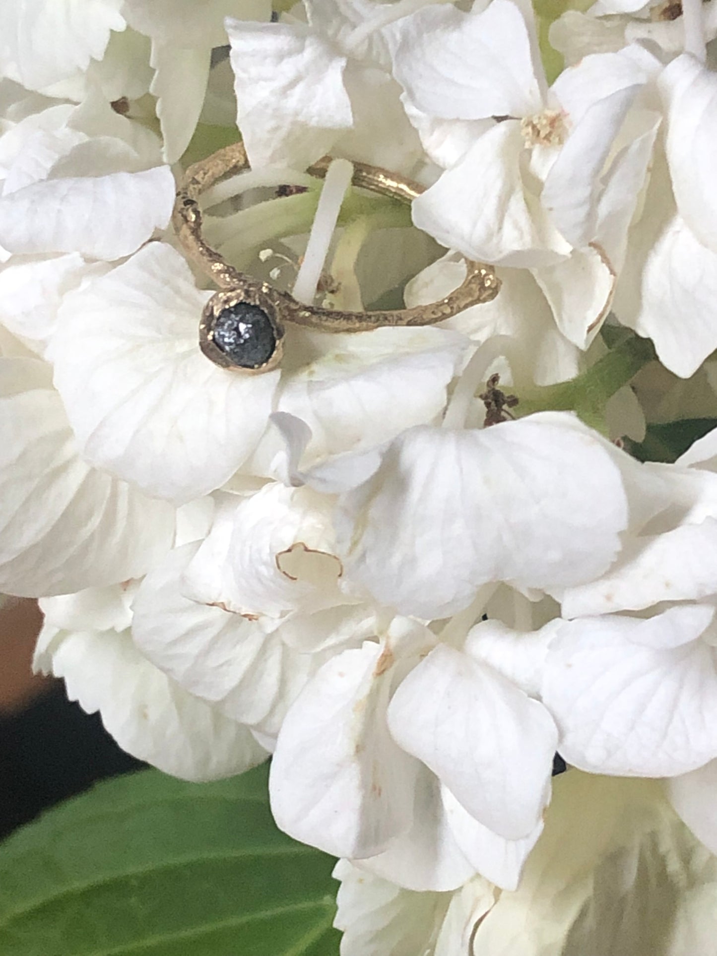 Anello Callistemone solitario