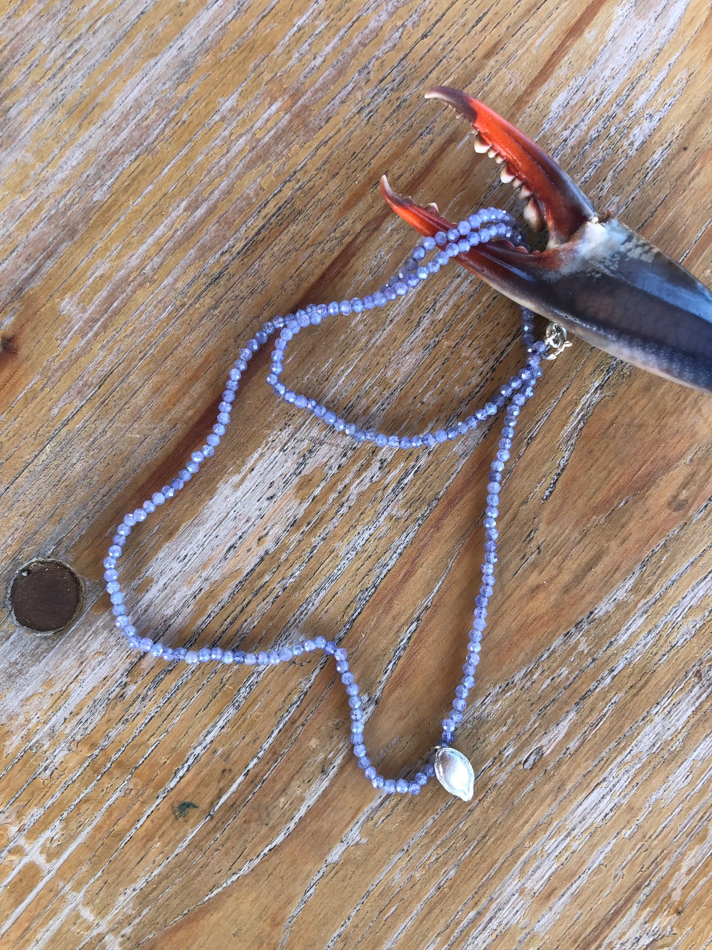Collana seme Zucca