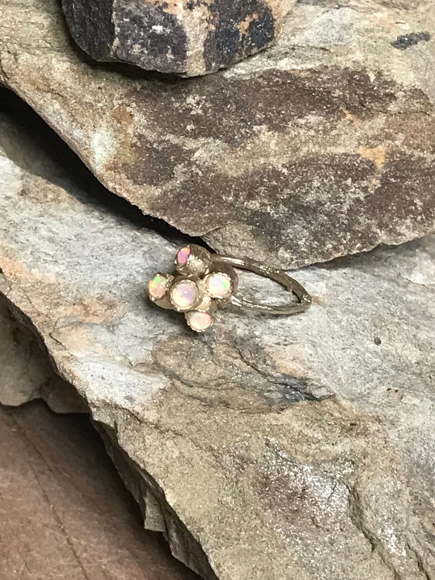 Anello Callistemone ramo