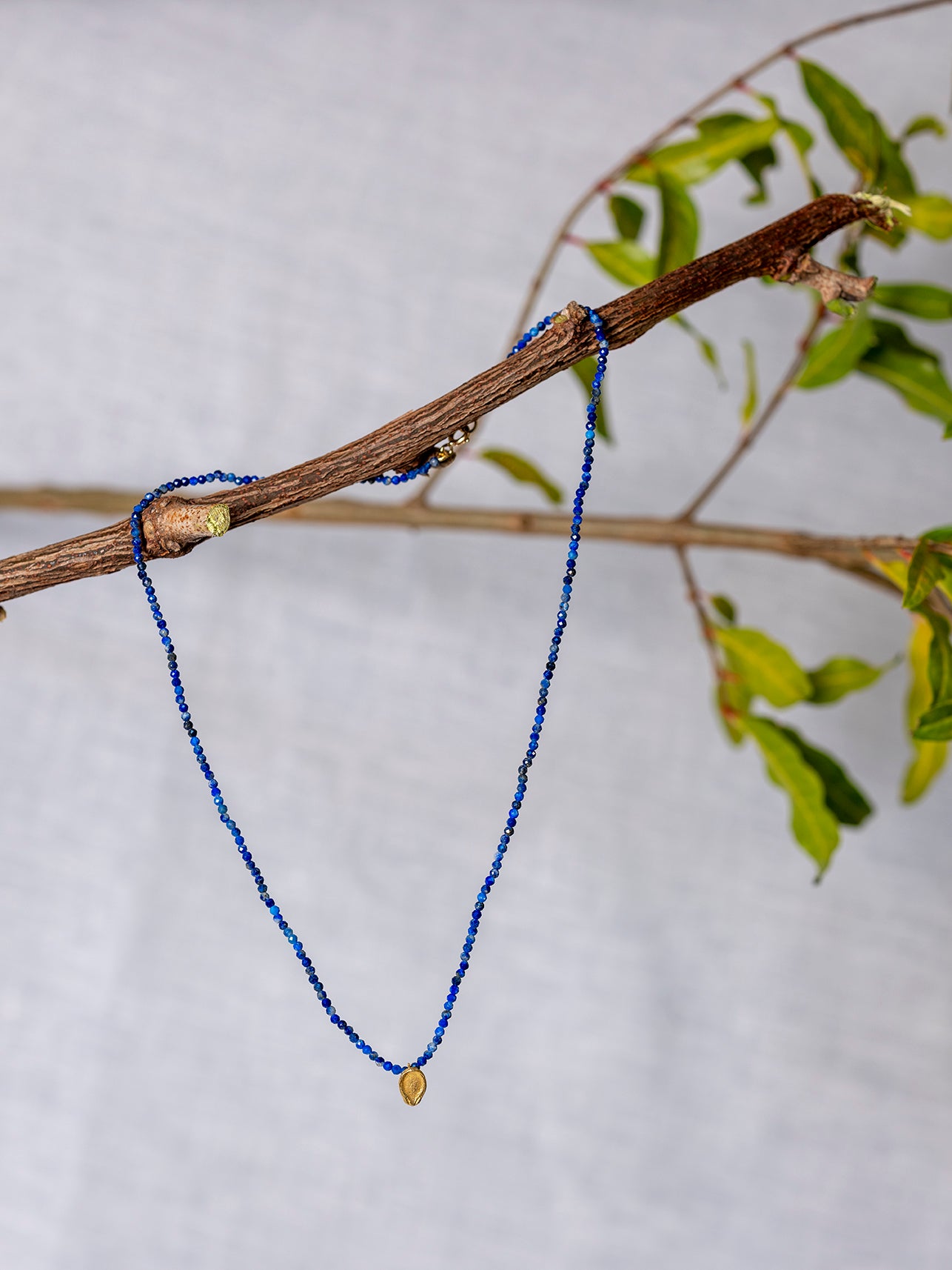 Collana seme Anguria