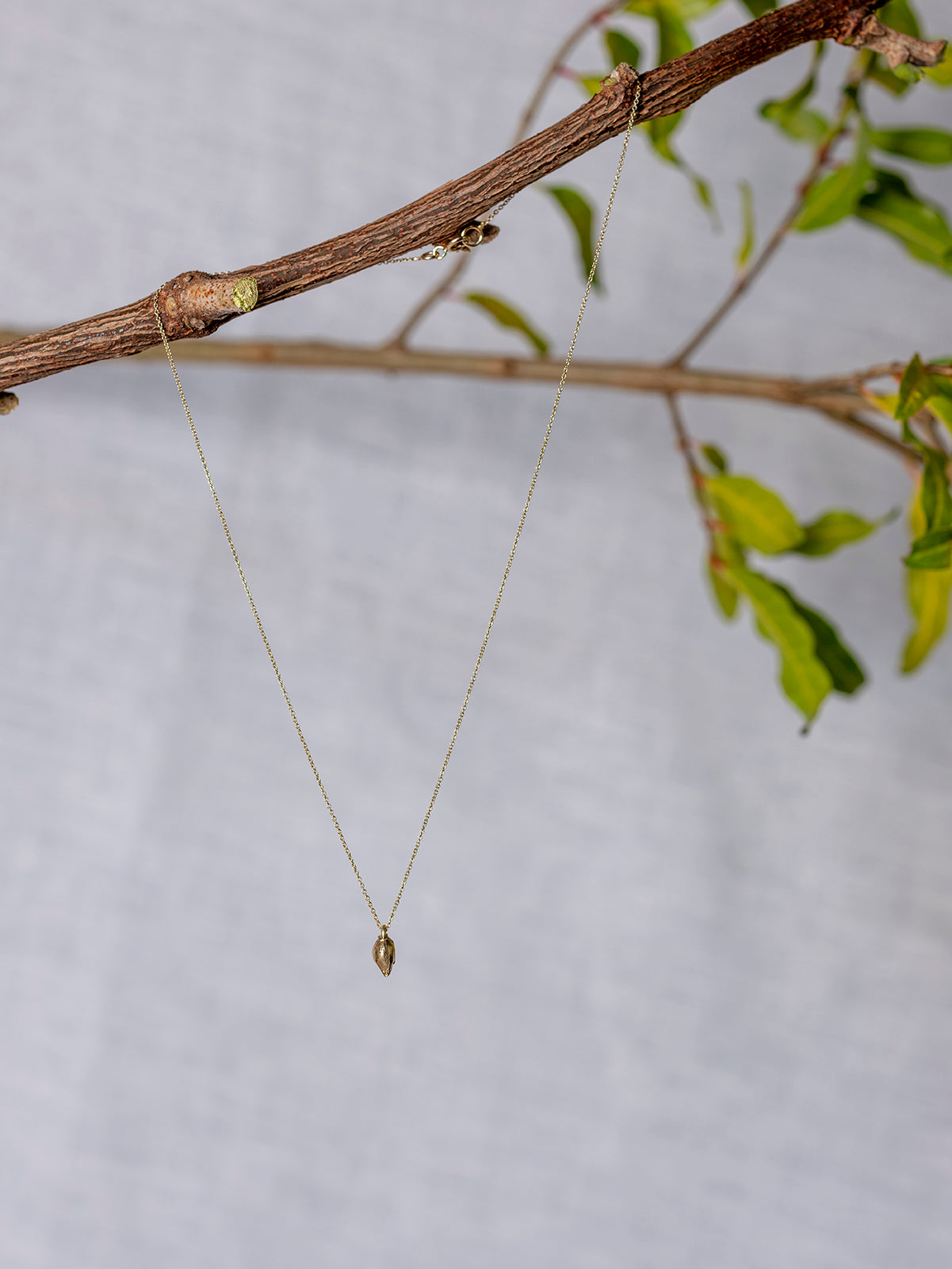 Collana seme Limone