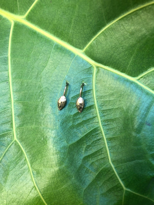 Orecchini Seme di Mela amo