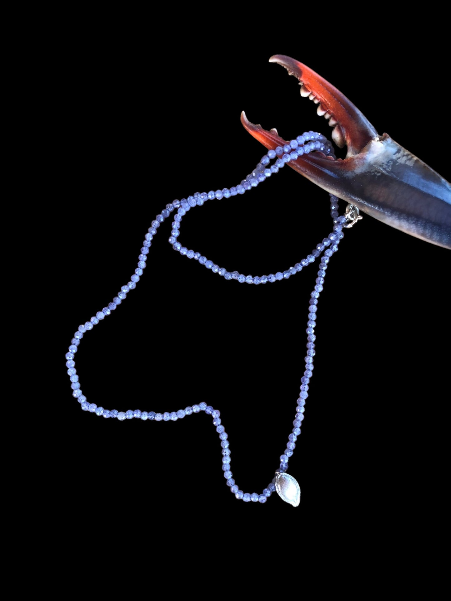 Collana seme Zucca