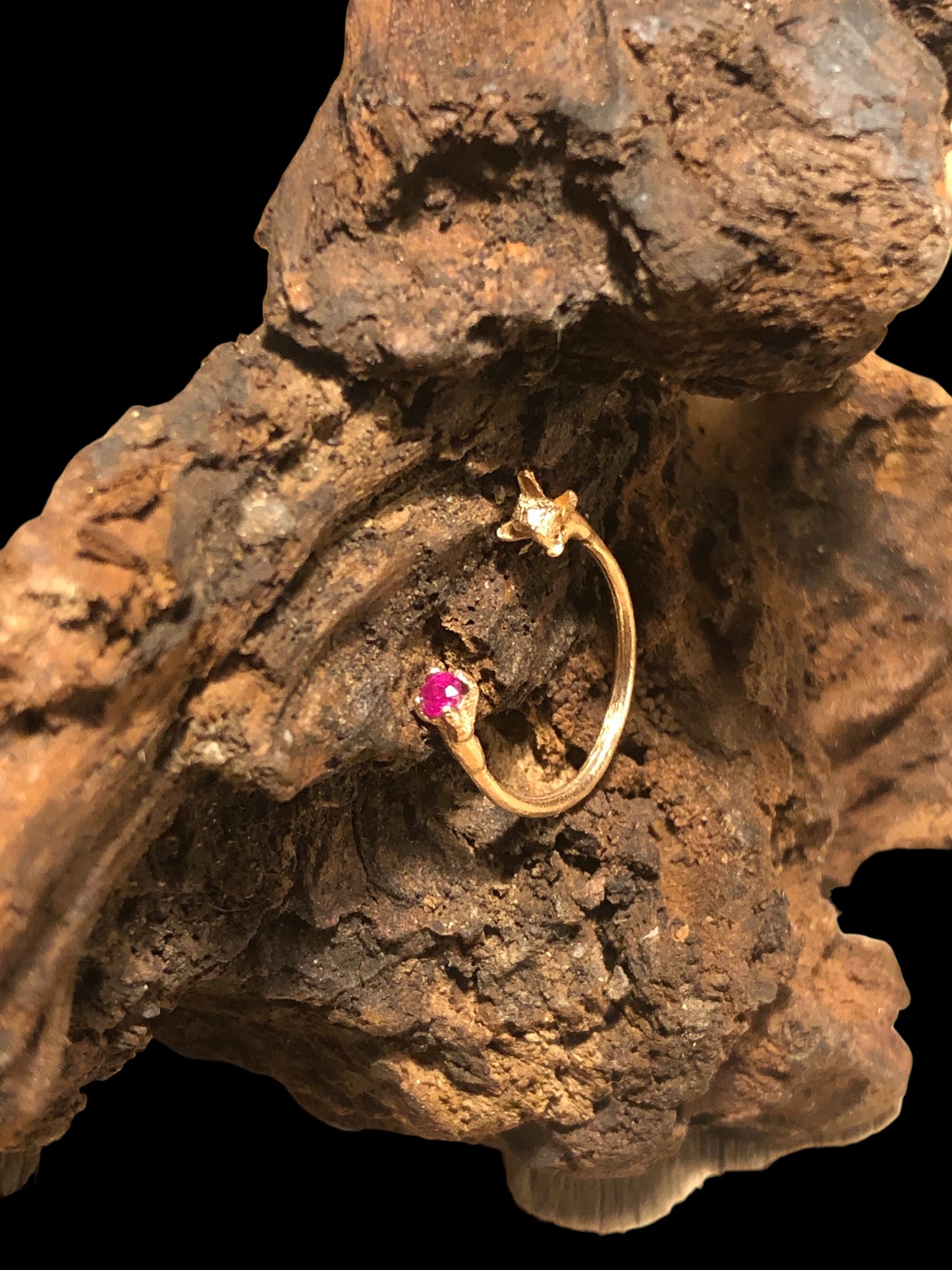 Anello aperto Chiodi di garofano