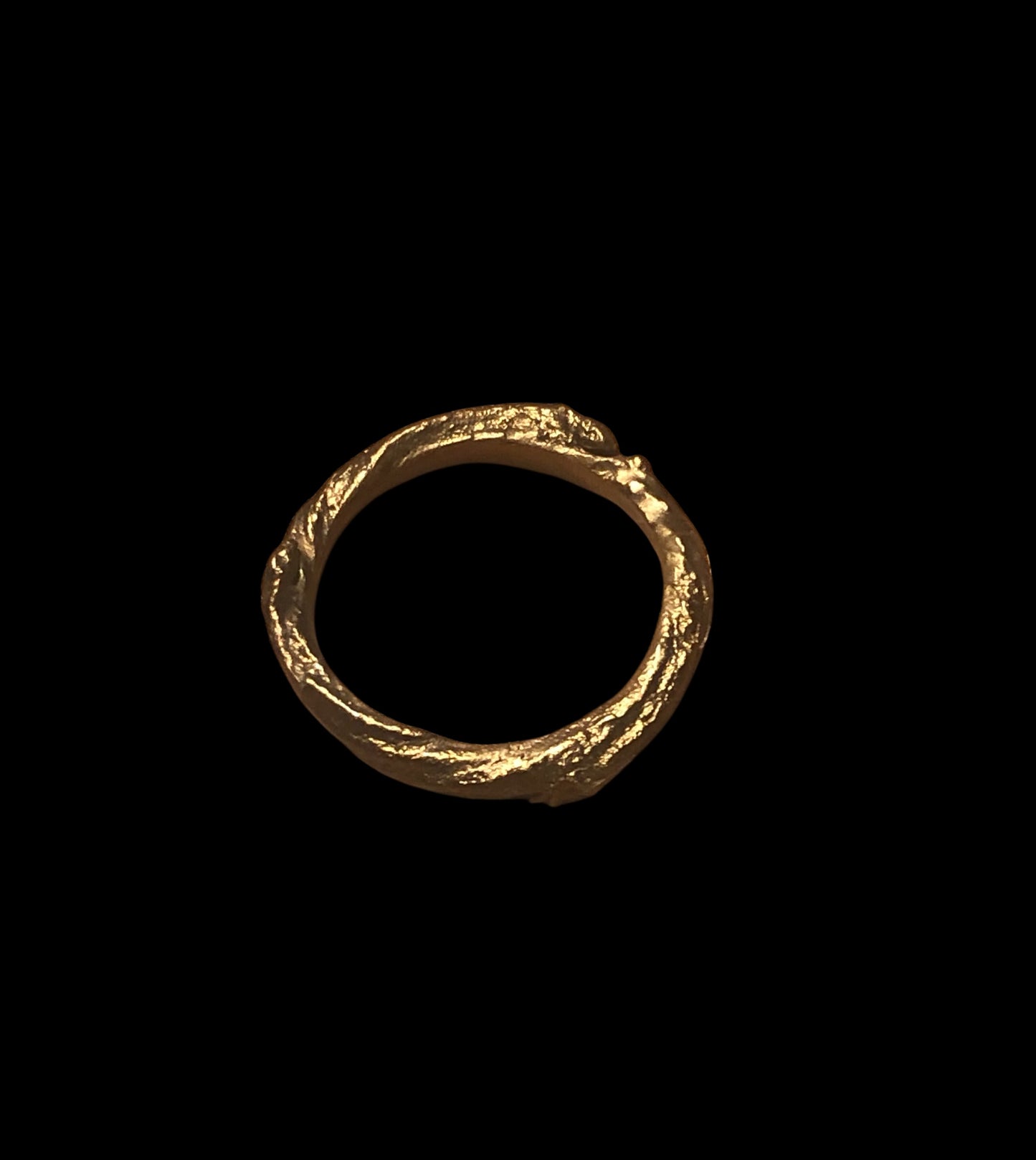Anello ramo