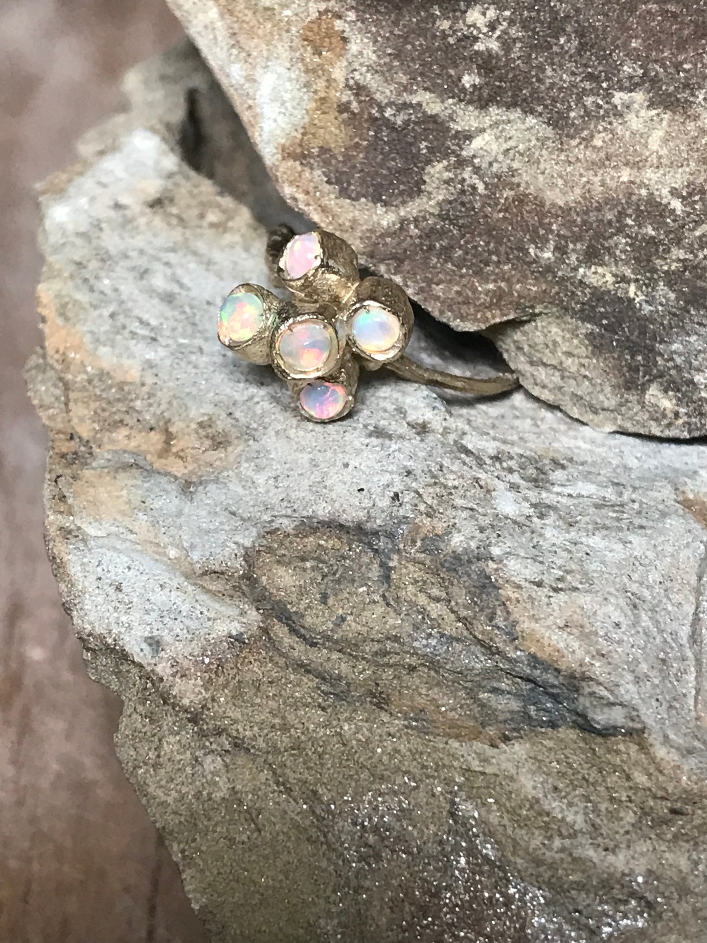 Anello Callistemone ramo