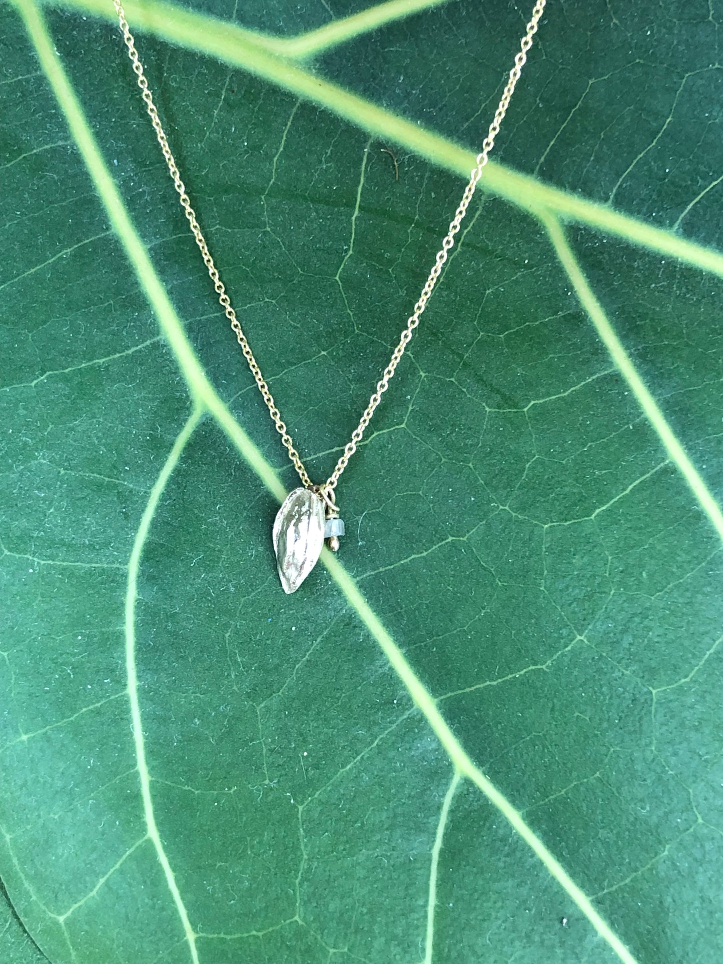 Collana Seme di Mela