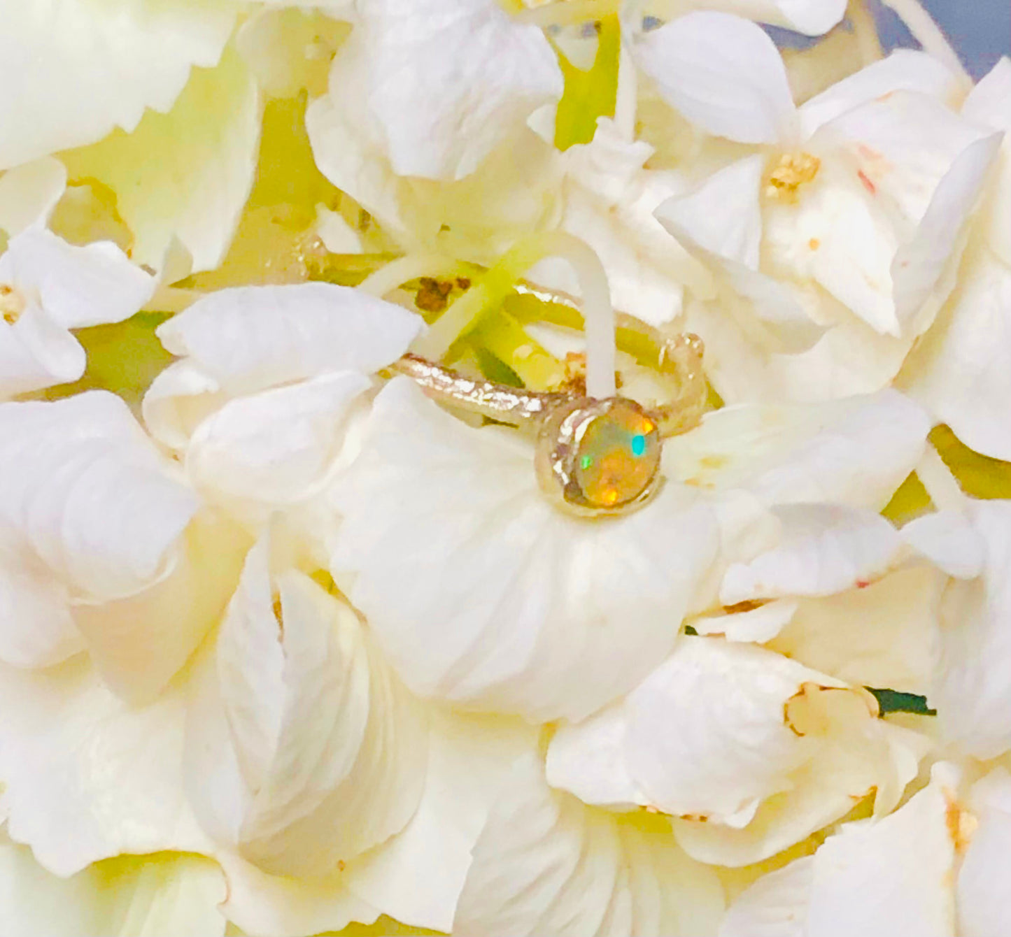 Anello Callistemone solitario