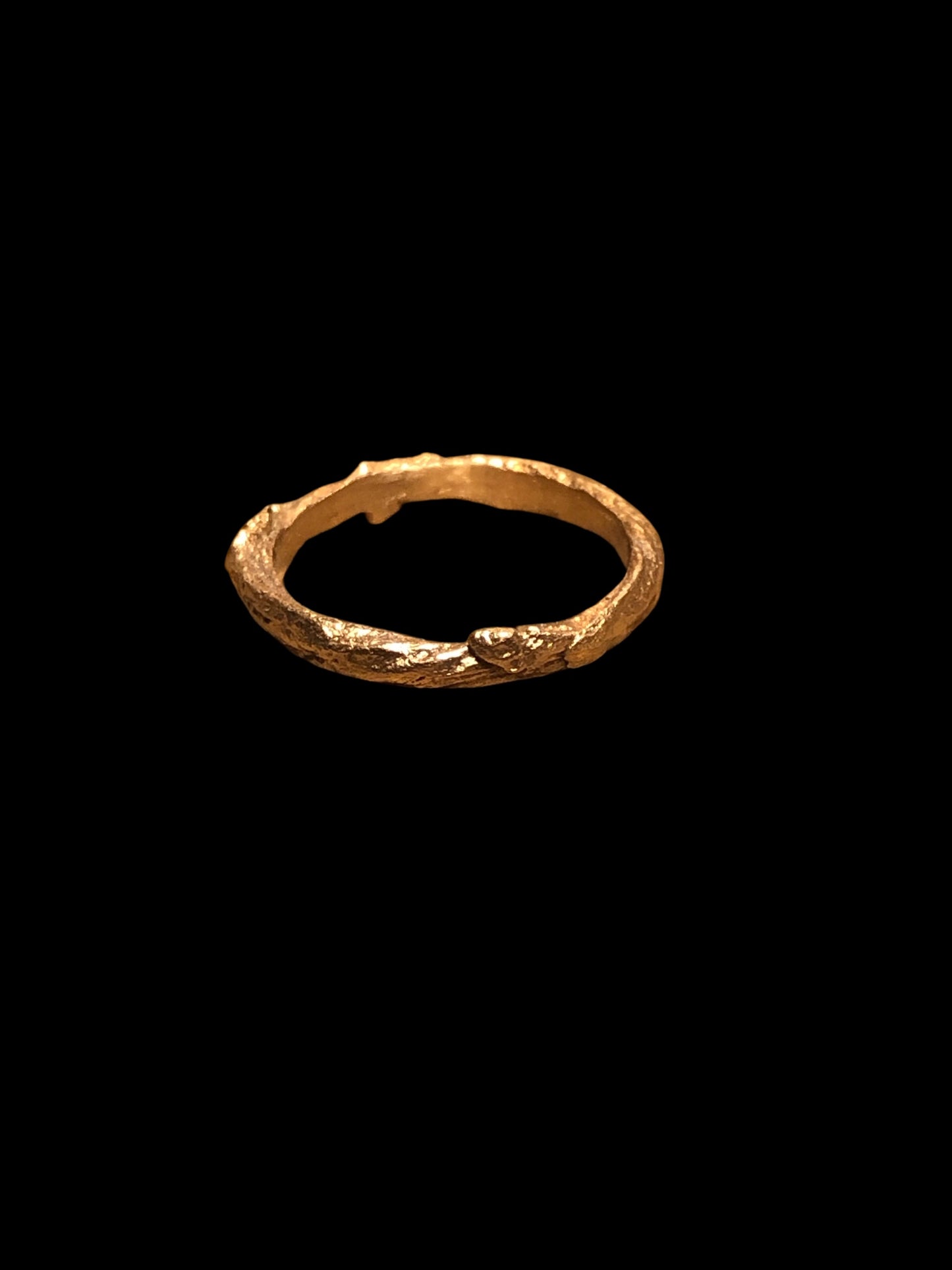 Anello ramo