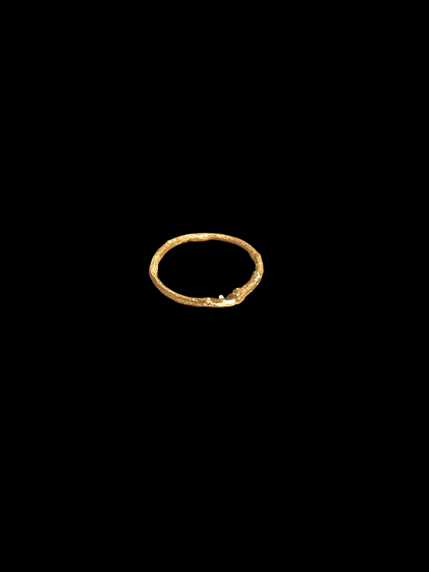 Anello ramo