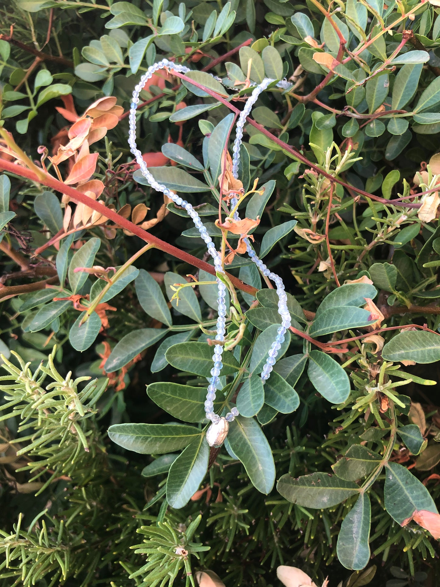 Collana Seme Ulivo