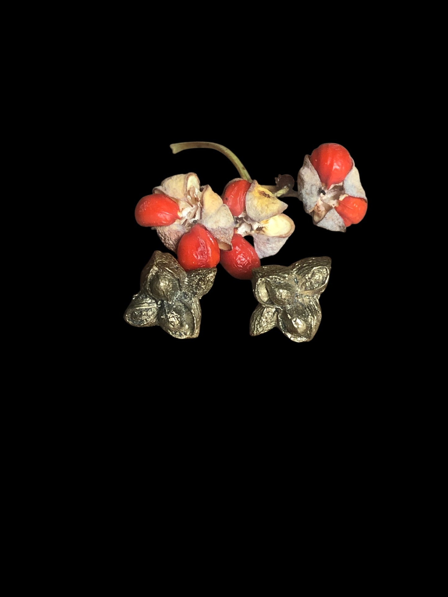 Cappello del Prete orecchini a lobo
