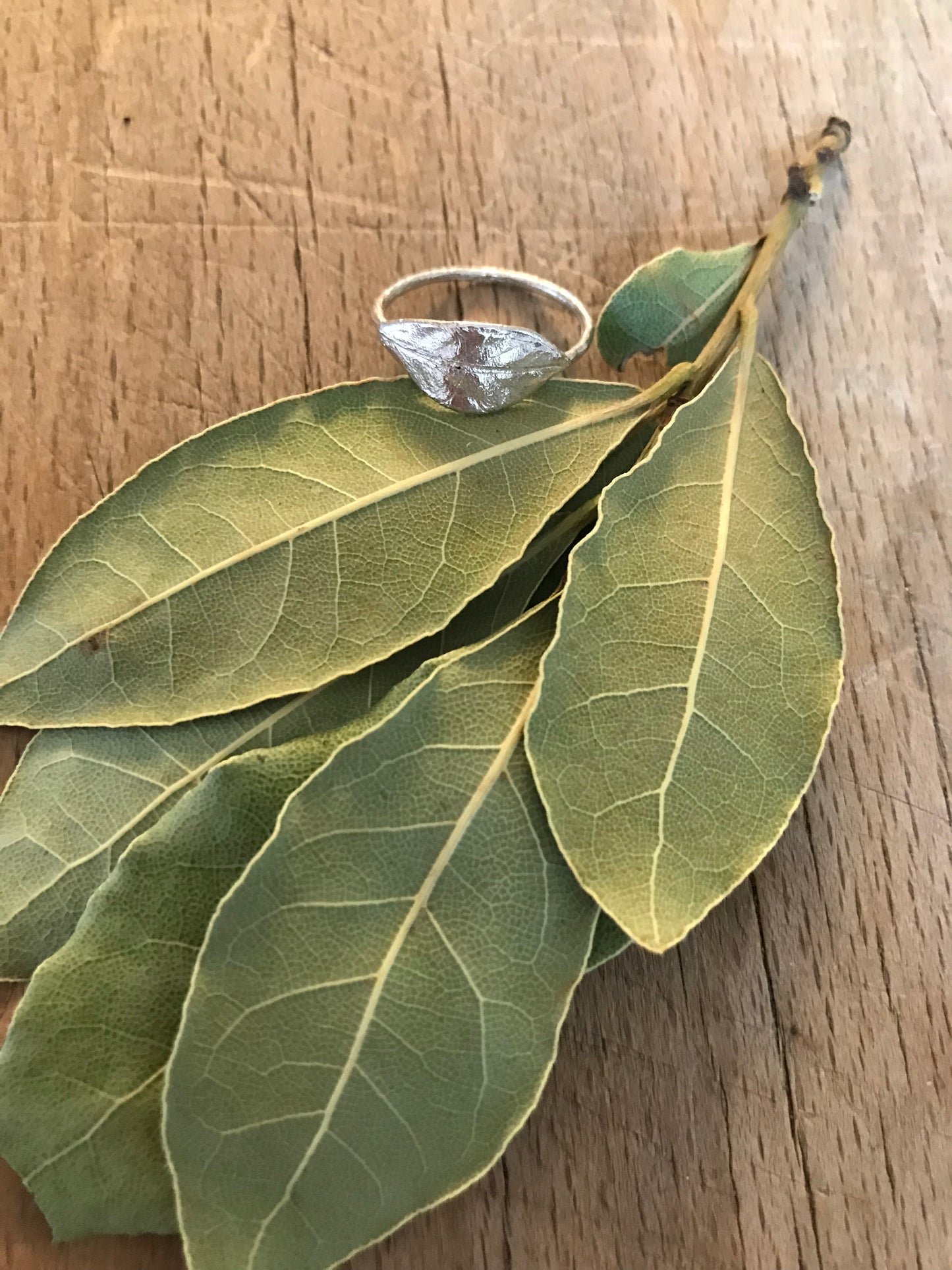 Anello Alloro
