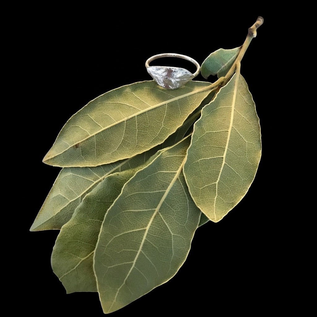 Anello Alloro MandalaT in argento con design artigianale a forma di foglia poggiato su foglie di alloro naturali