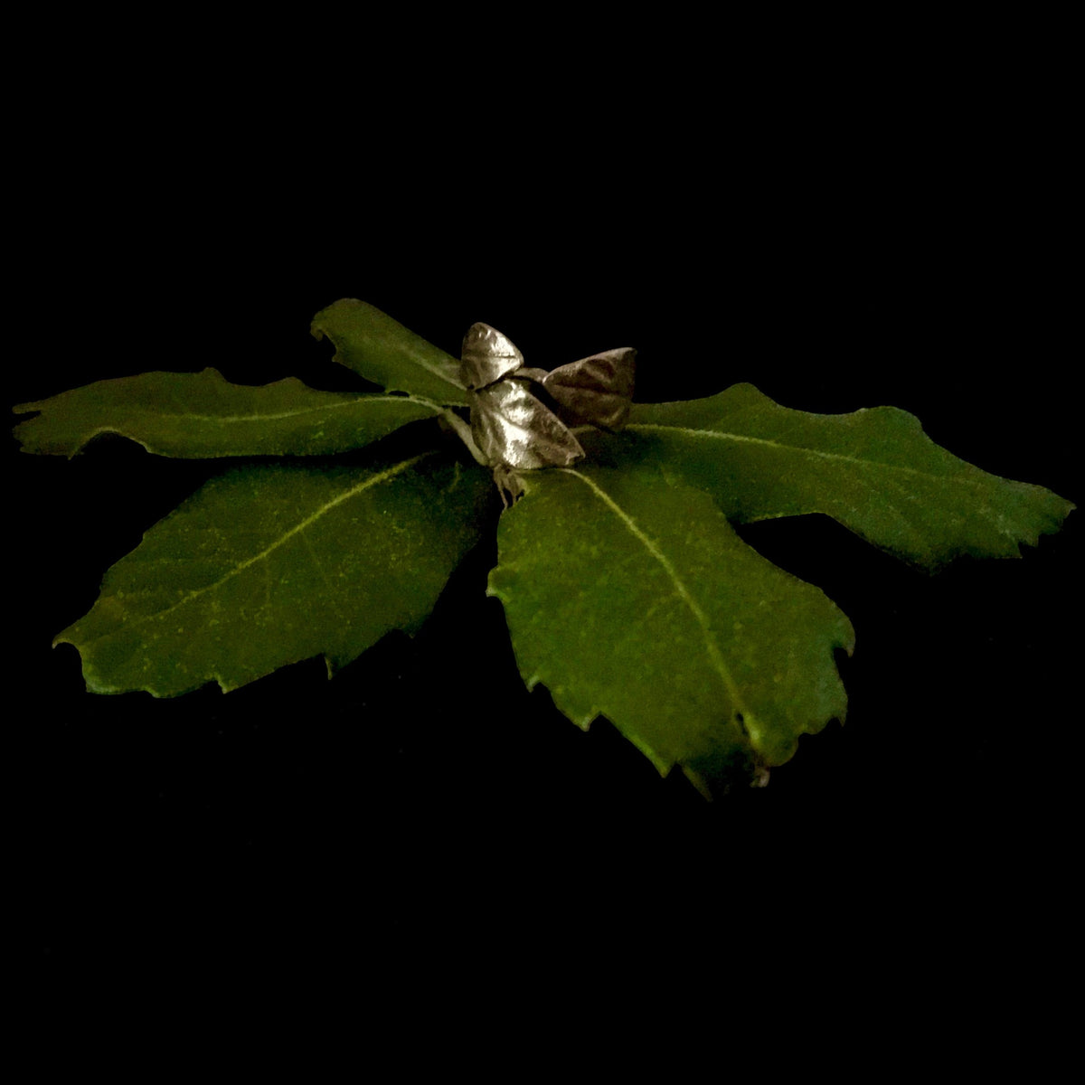 Anello aperto MandalaT in bronzo con fusione di 3 foglie di alloro, regolabile e posizionato su foglie verdi naturali