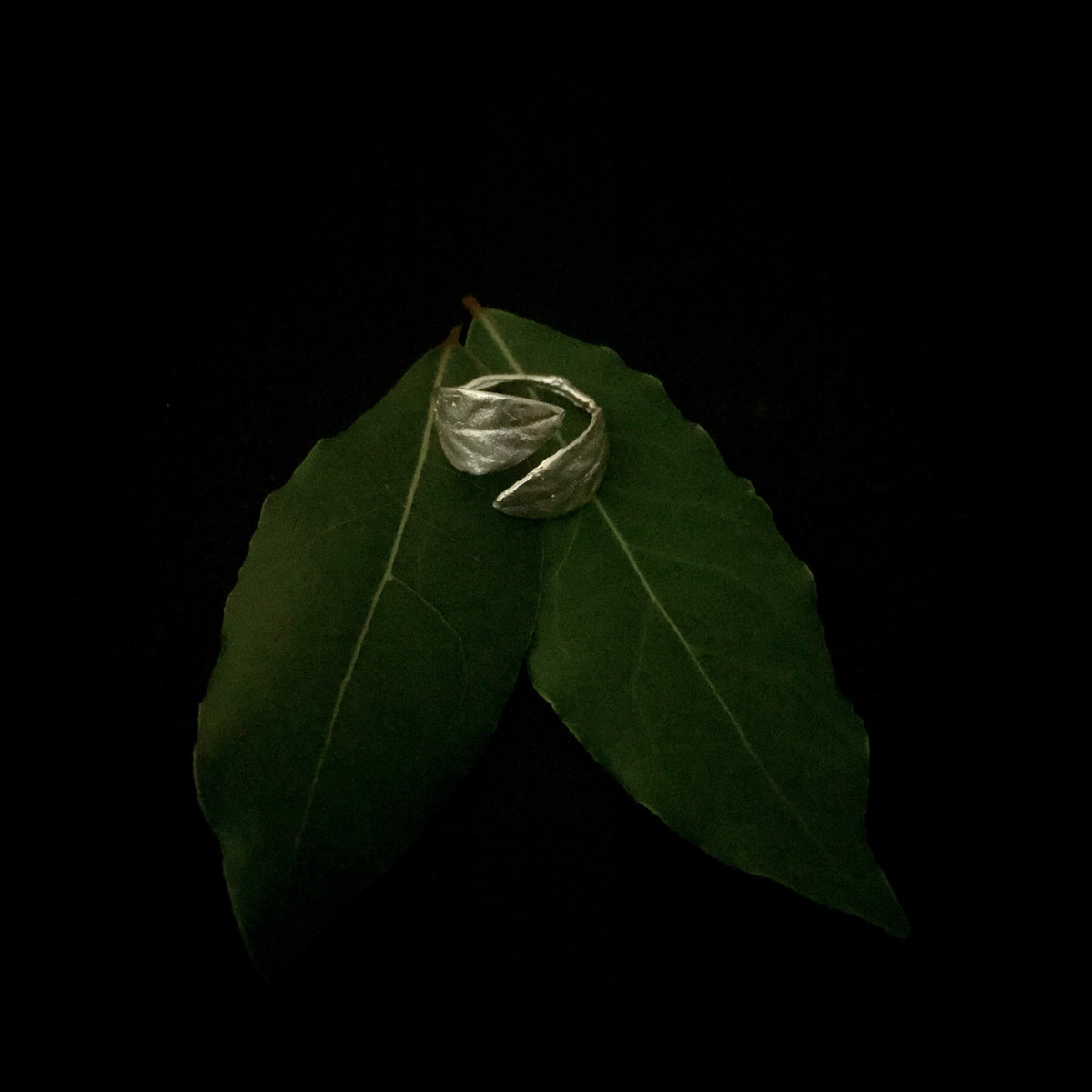Anello aperto MandalaT in argento con design a foglie di alloro, regolabile e posizionato su foglie naturali