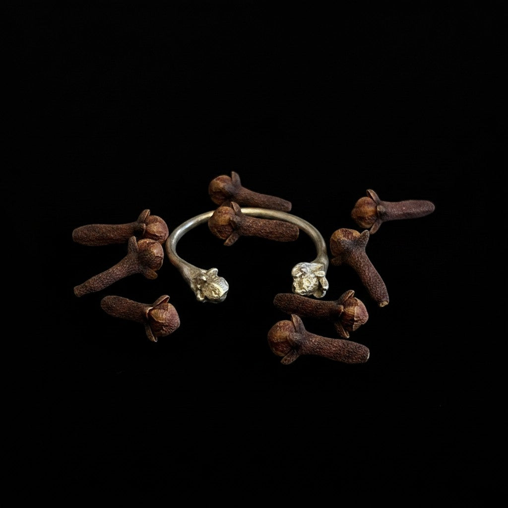 Anello aperto MandalaT in argento con design a chiodo di garofano, simbolo di salute, circondato da spezie vere.