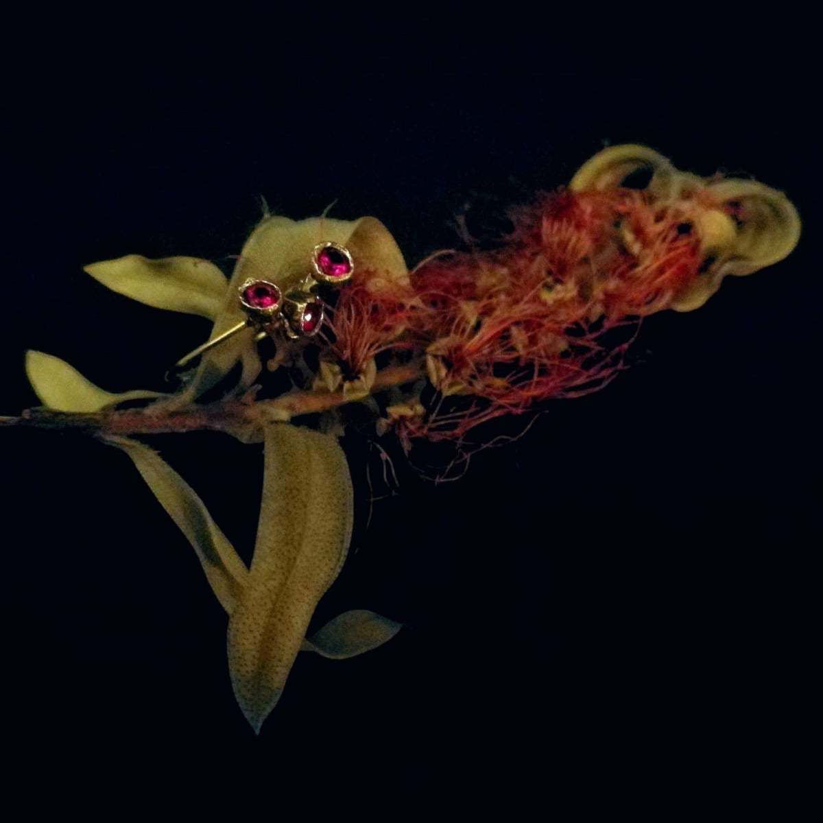 Anello Calistemone MandalaT in oro con castoni e rubini sintetici posato su un fiore di callistemone