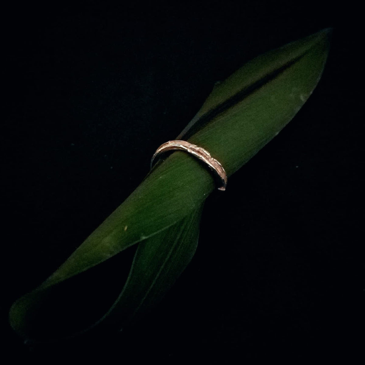 Anello MandalaT filo d'erba in argento con texture naturale ispirata a un filo d'erba su foglia verde