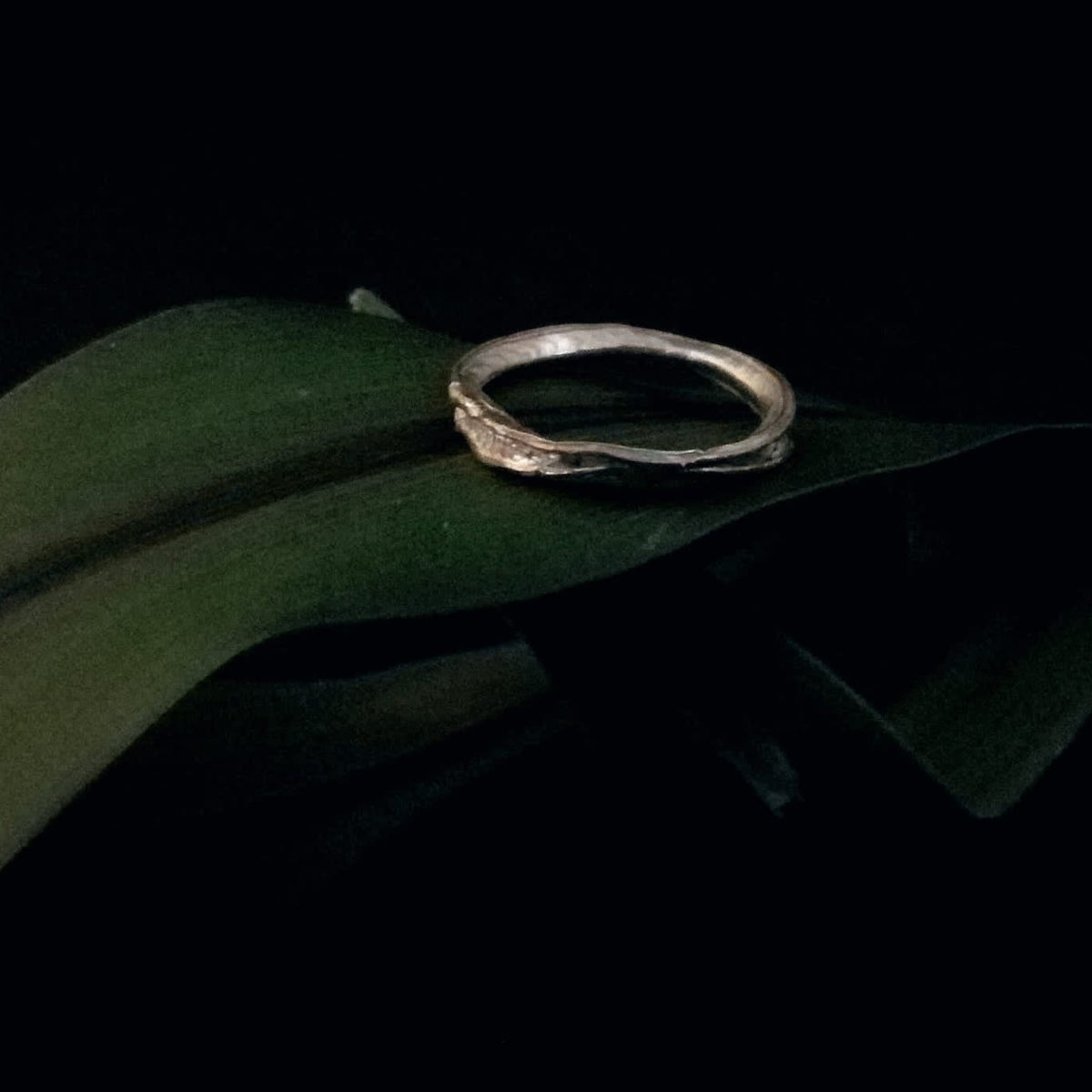 Anello MandalaT filo d'erba in argento con texture organica ispirata alla natura, poggiato su una foglia verde.