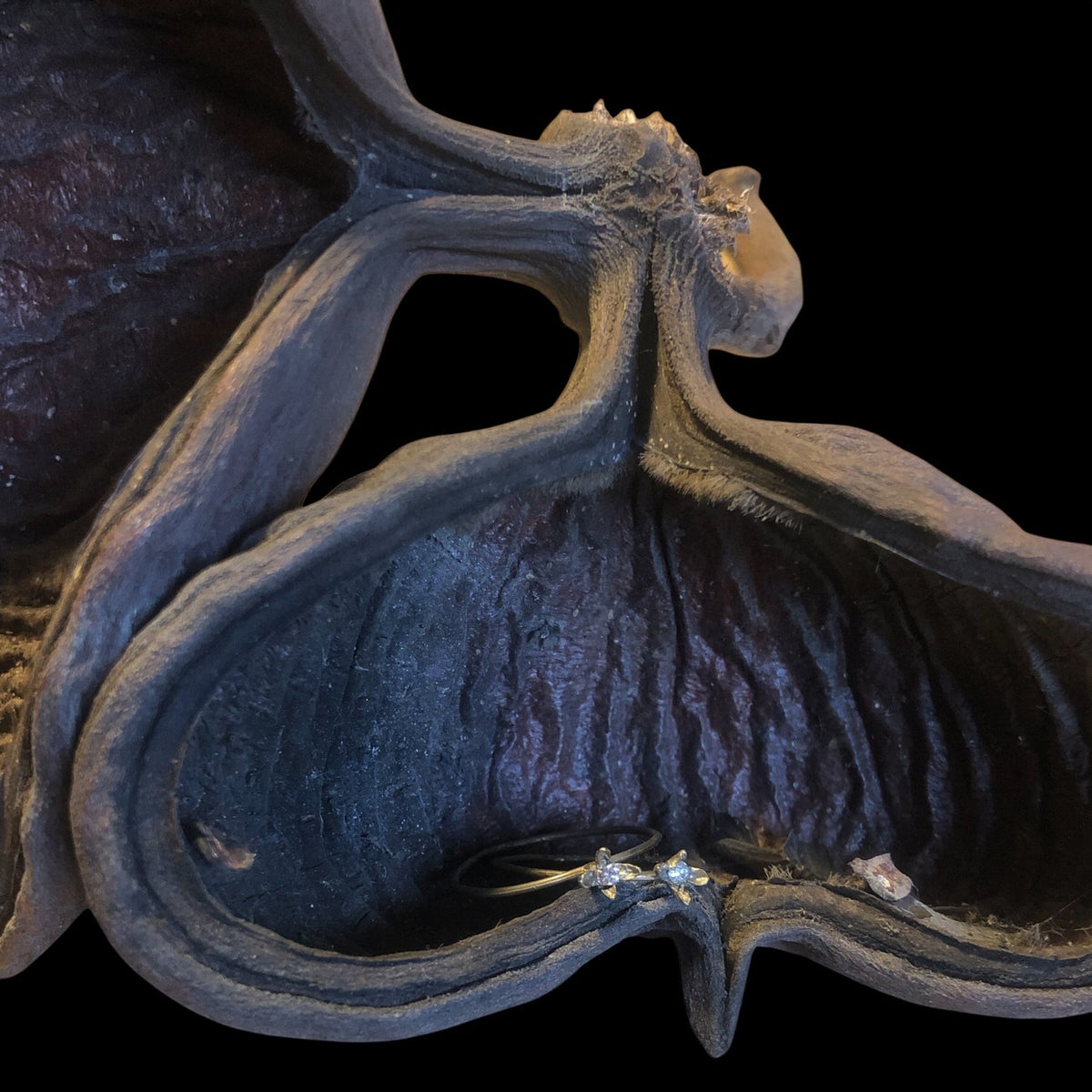 Anello solitario MandalaT Chiodo di Garofano con pietre preziose incastonate, presentato in un baccello naturale