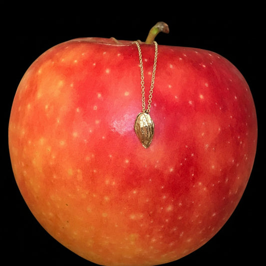 Collana MandalaT Seme di Mela in oro con ciondolo a forma di seme appoggiata su una mela rossa brillante