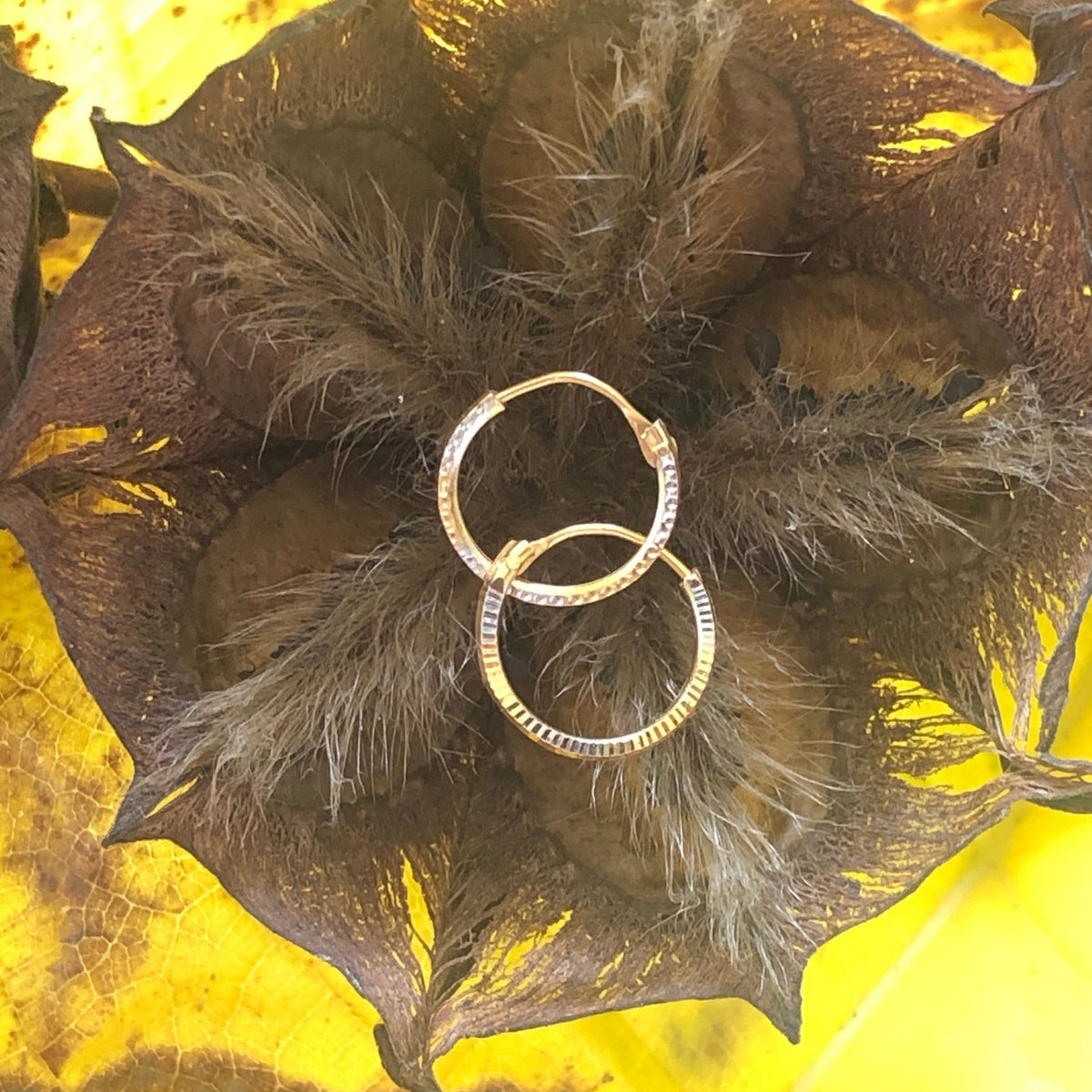 Mono orecchino a cerchio MandalaT in oro con finitura lavorata, appoggiato su un fiore secco su sfondo giallo.