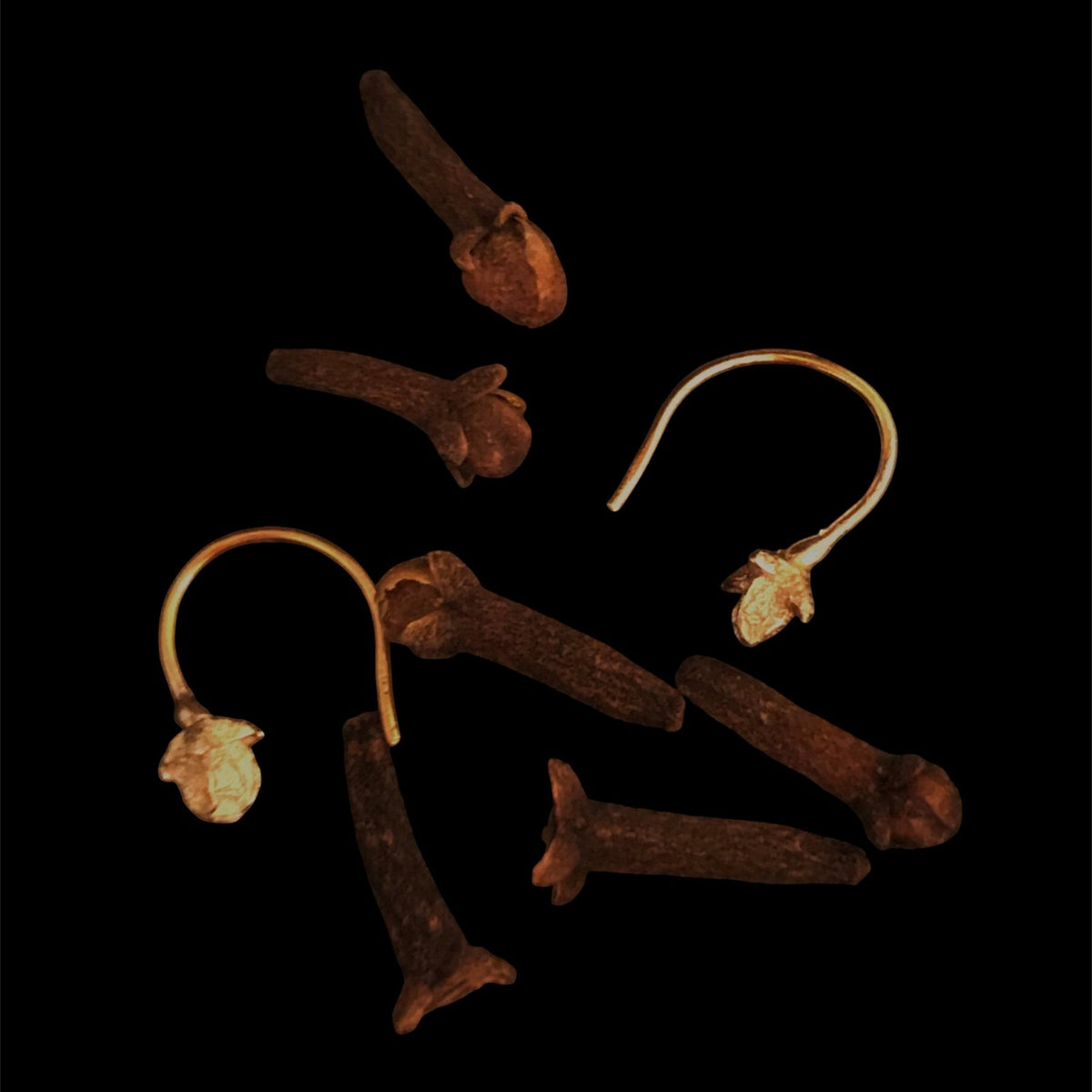 Orecchini MandalaT a forma di chiodo di garofano bronzo su sfondo nero
