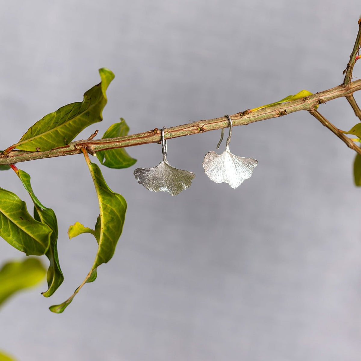 Orecchini MandalaT a forma di foglia di Gingko in argento, design elegante e botanico appesi a un ramo