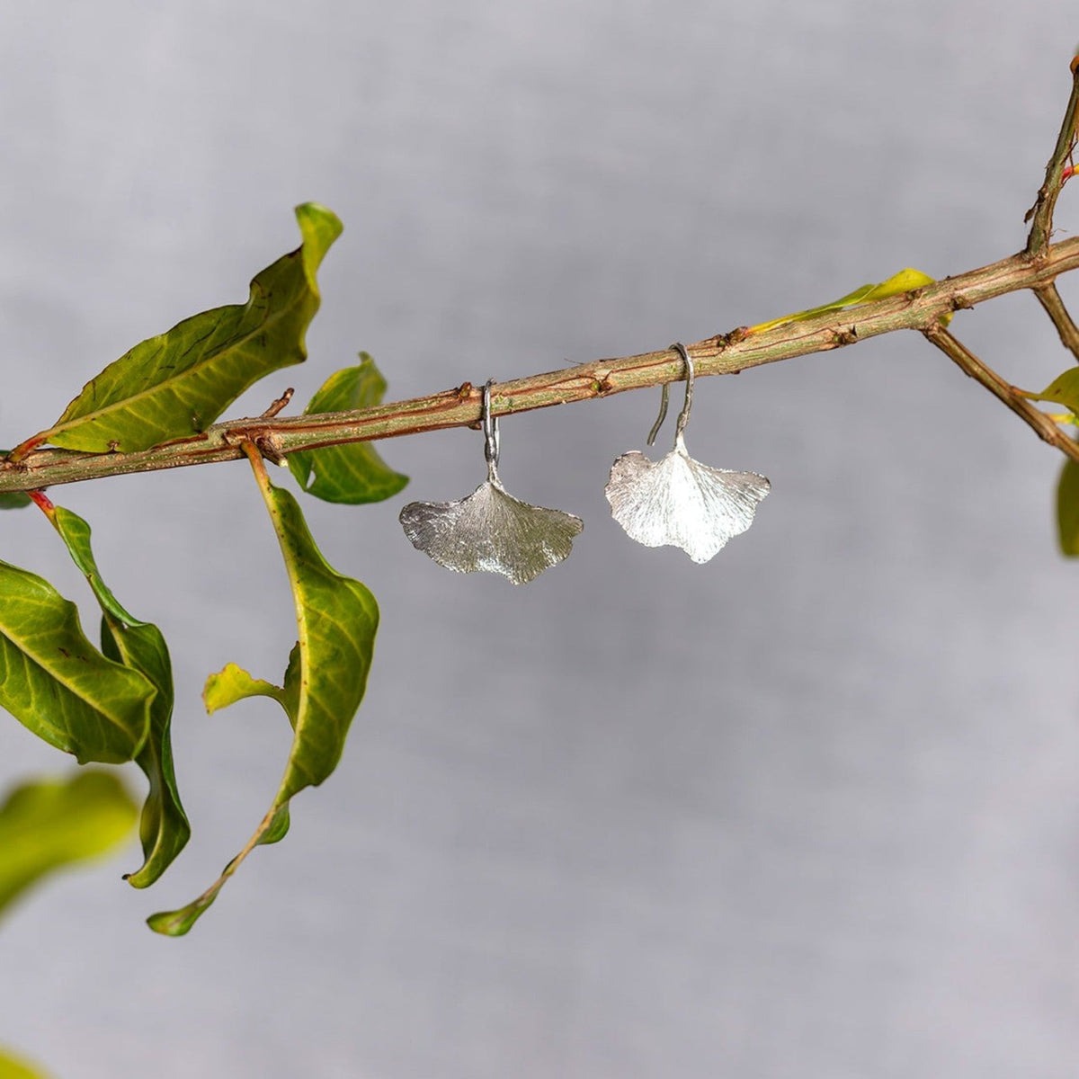 Orecchini MandalaT a forma di foglia di Gingko in argento, design elegante e botanico appesi a un ramo