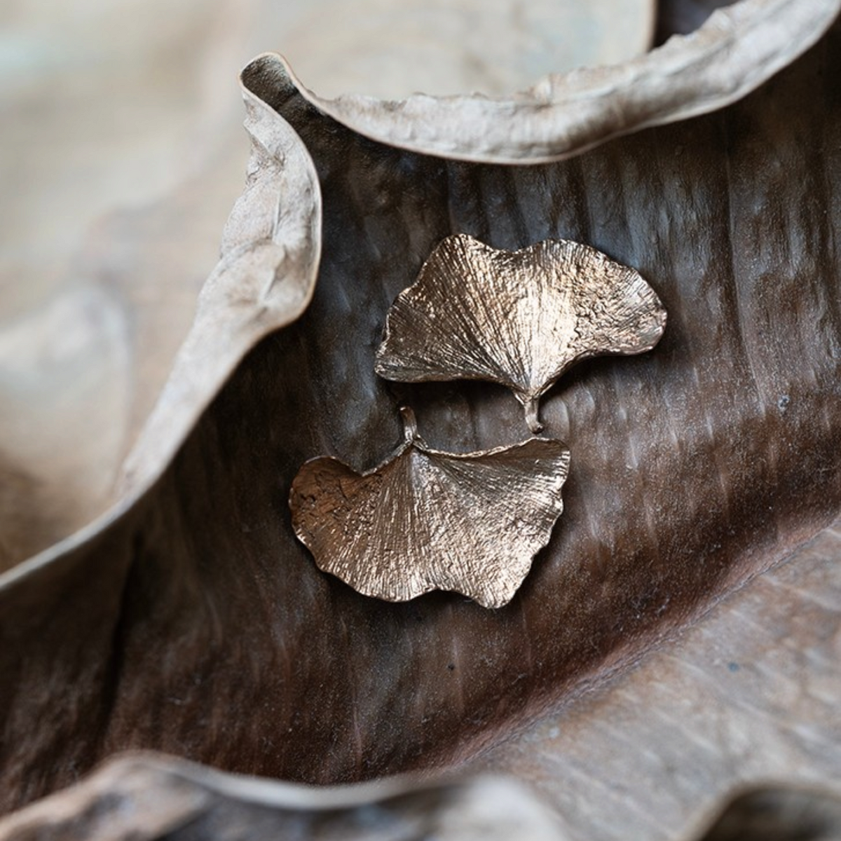 Orecchini MandalaT a forma di foglia di gingko in metallo dorato con finitura testurizzata su foglia secca