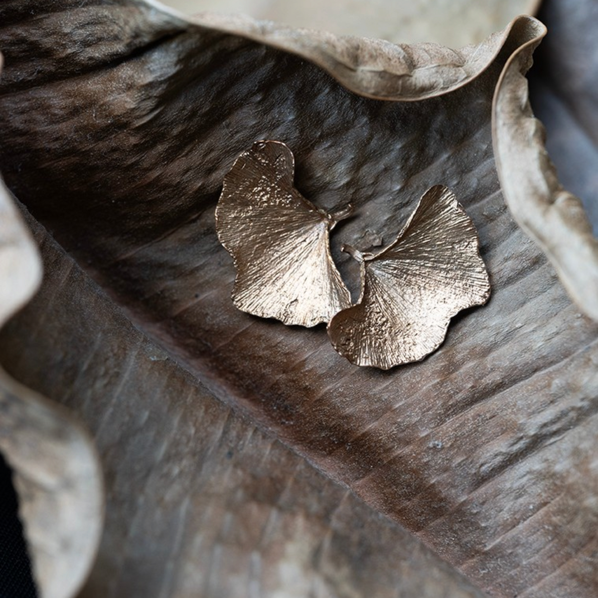 Orecchini MandalaT a forma di foglia di gingko in metallo dorato con texture dettagliata su foglia secca naturale