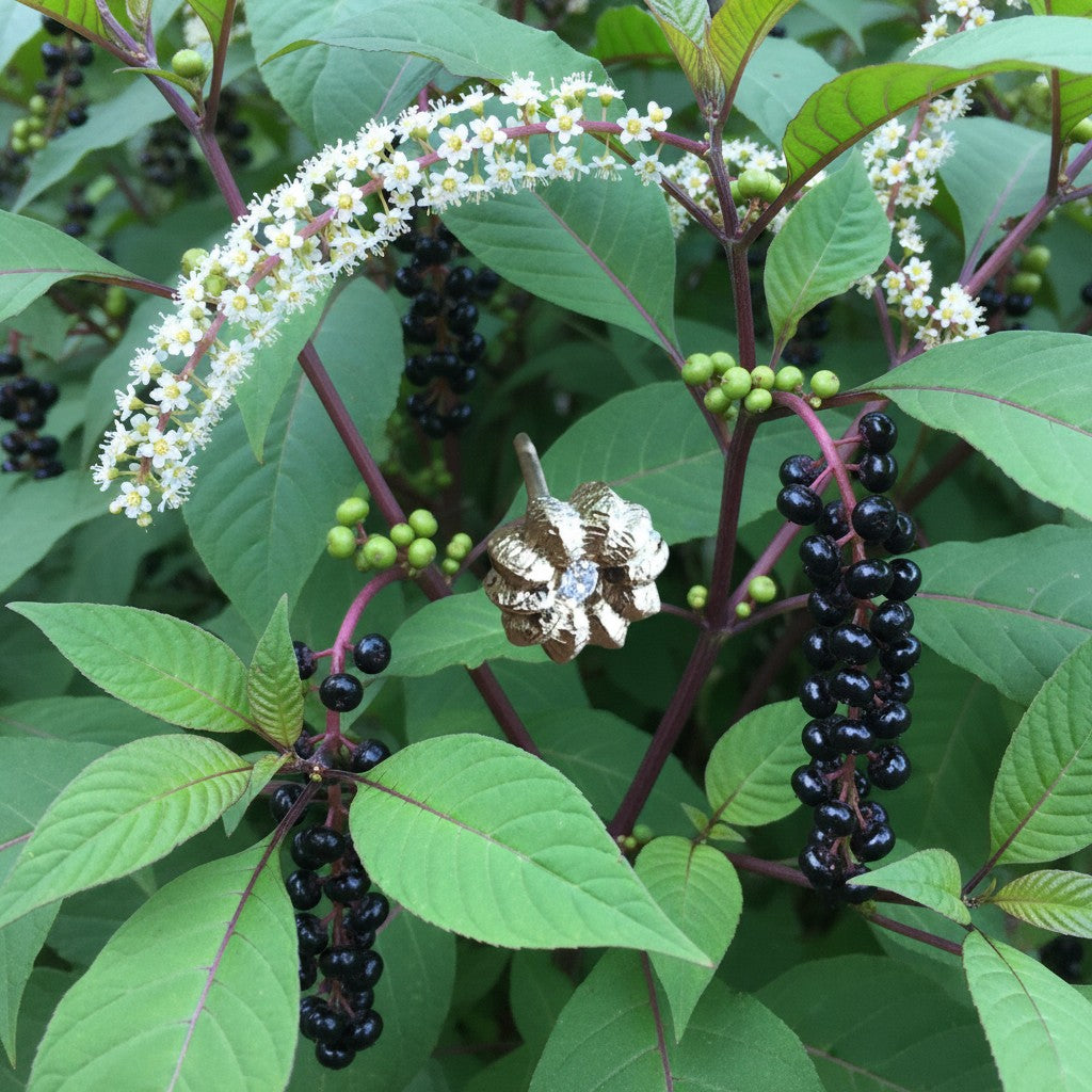 Orecchino a lobo MandalaT Phytolacca in oro con piccolo fiore e pietra centrale su pianta di uva turca