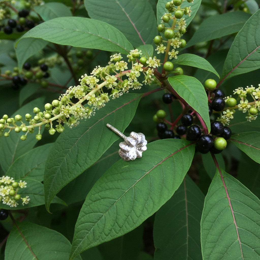 Orecchino a lobo MandalaT Phytolacca in argento a forma di piccolo fiore poggiato su una foglia verde