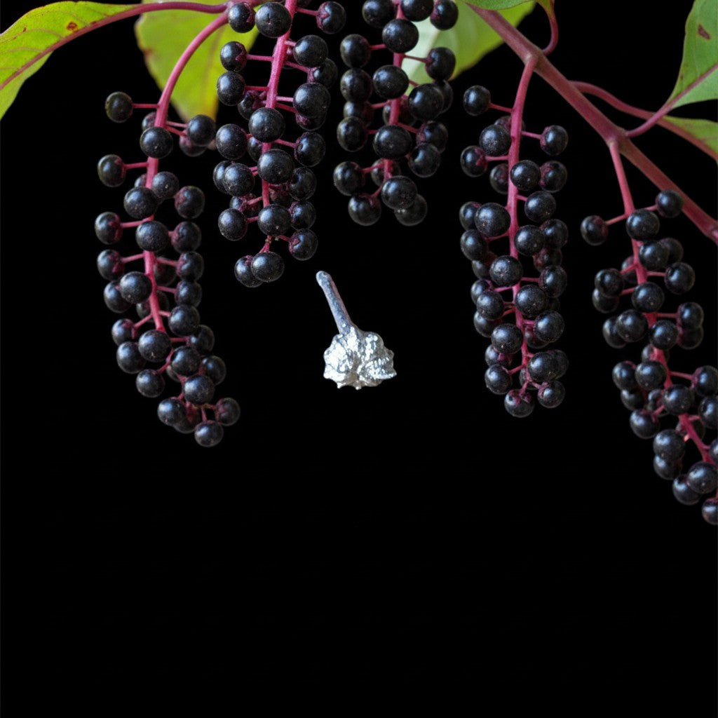 Orecchino a lobo MandalaT Phytolacca in argento con forma di piccolo fiore o zucca su sfondo nero con bacche