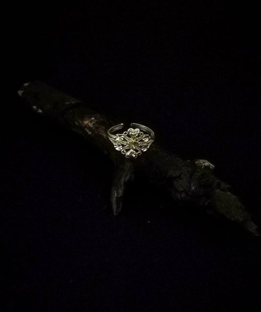 Anello badāl