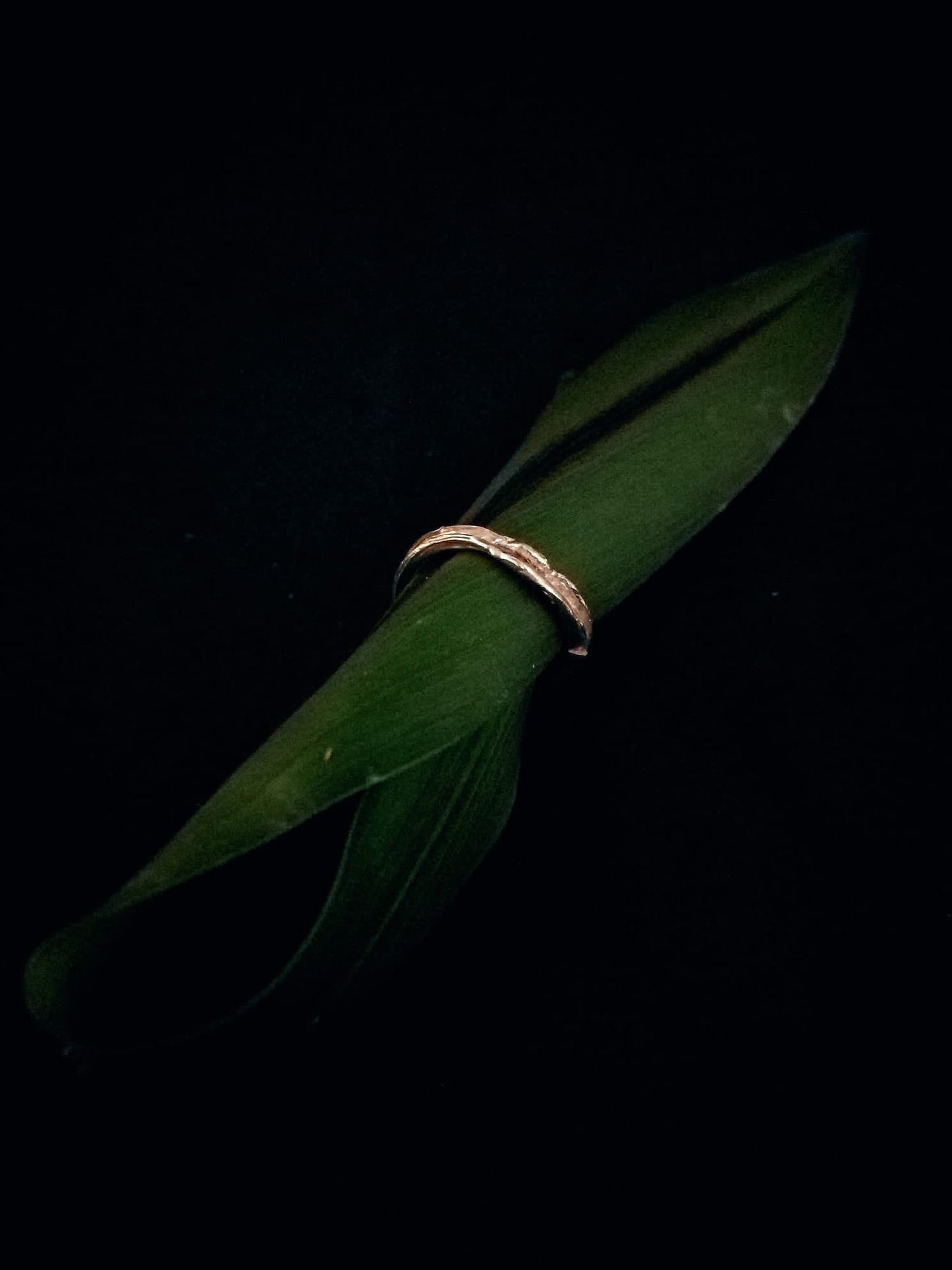 Anello filo d’erba
