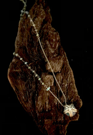 Stella marina con Opali