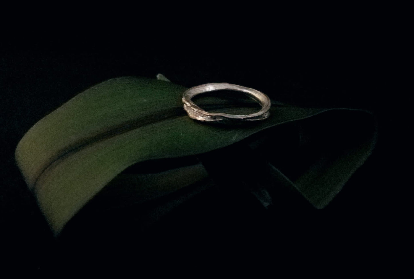 Anello filo d’erba