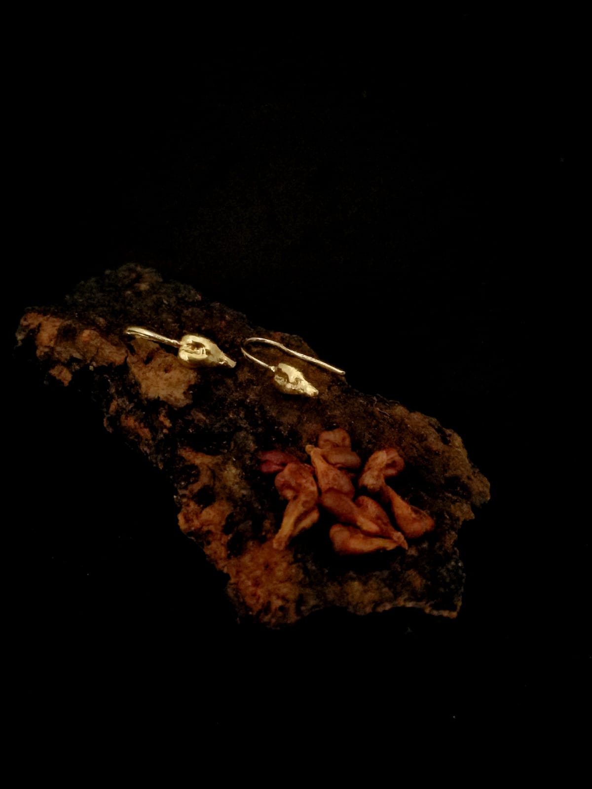 Orecchini uva amo