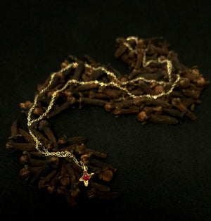 Collana Chiodo di Garofano solitario