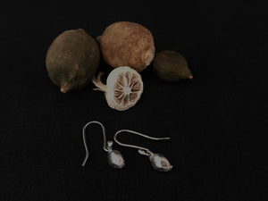 Orecchini semi di limone amo
