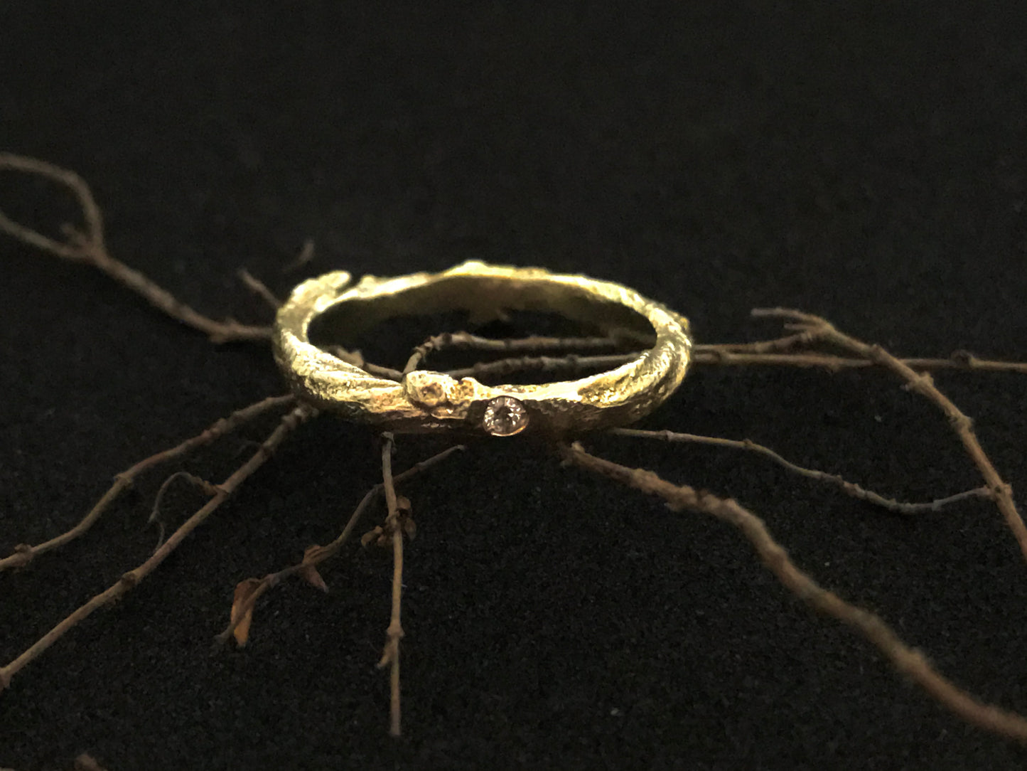 Anello ramo